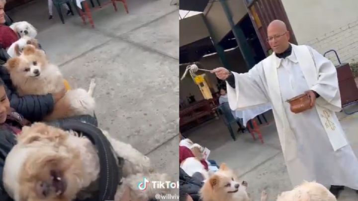 Exorcizando perritos: Sacerdote avienta agua bendita a perros y a uno "se le sale el chamuco" (VIDEO)