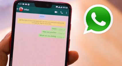El truco de Whatsapp para leer mensajes sin tener que aparecer en línea