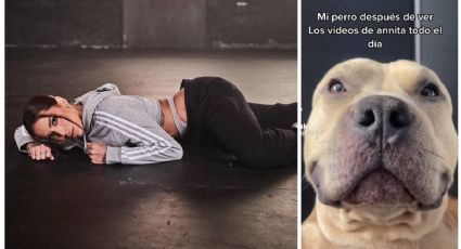 Perro hace el Anitta Challenge y su VIDEO se hace viral en TikTok