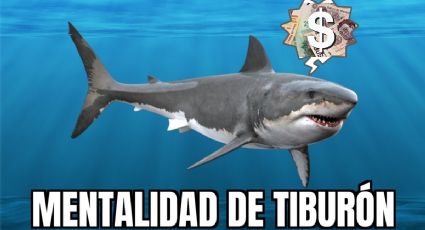 Shark Tank México: ¿Cuándo inicia la temporada 7 del programa?