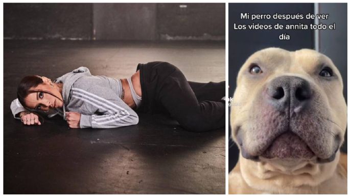 Perro hace el Anitta Challenge y su VIDEO se hace viral en TikTok