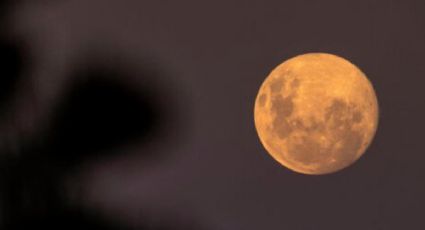 Luna de lobo 2023: ¿Cuándo y cómo ver la primera luna llena de enero en México?