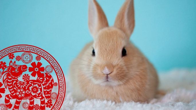 Horóscopo chino: Este es el signo que PEOR suerte tendrá en el Año del Conejo