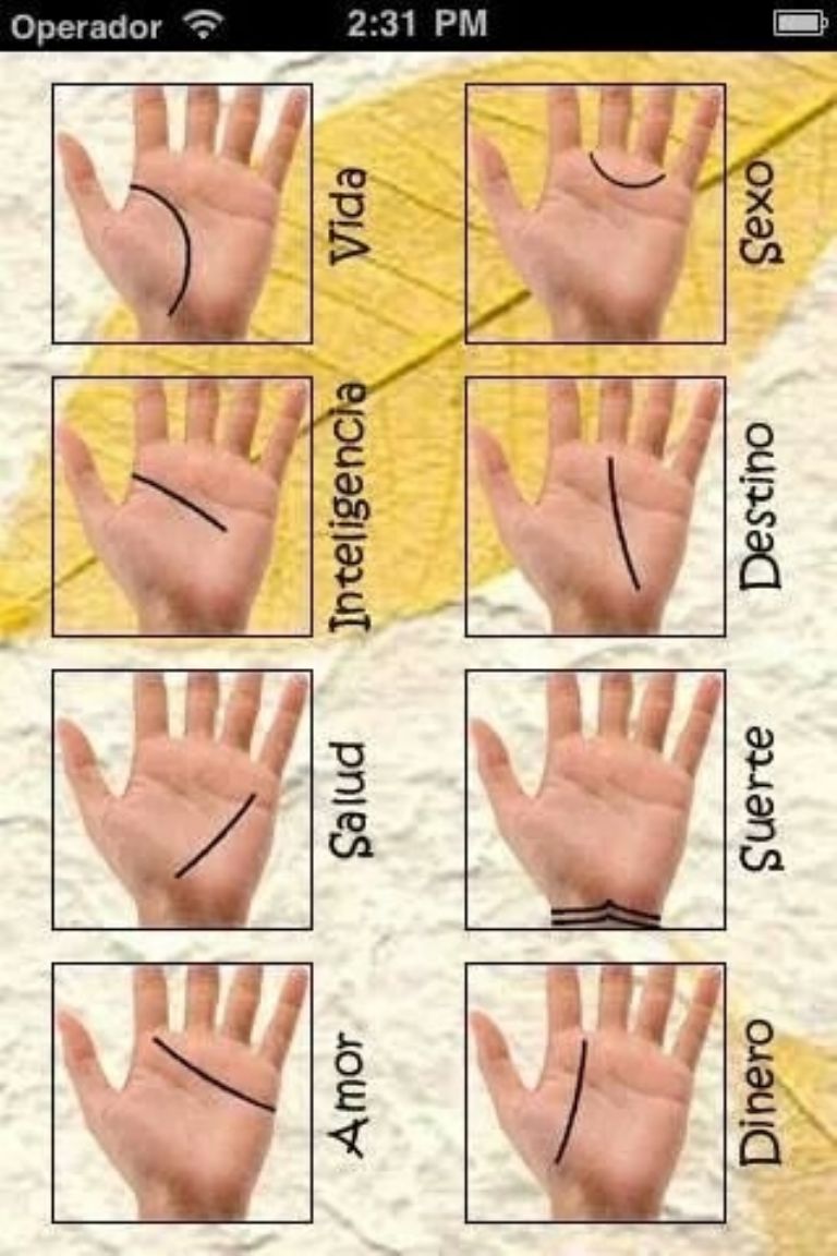 qué significan las líneas de tu mano