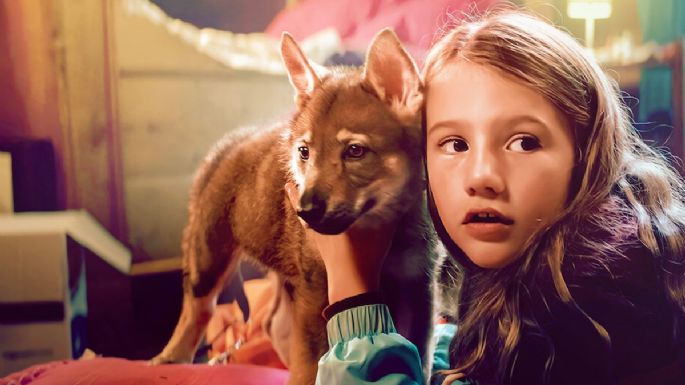 3 películas de perros en Netflix para llorar