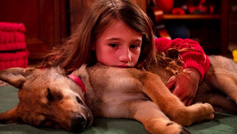 Netflix tiene las películas de perros perfectas para llorar