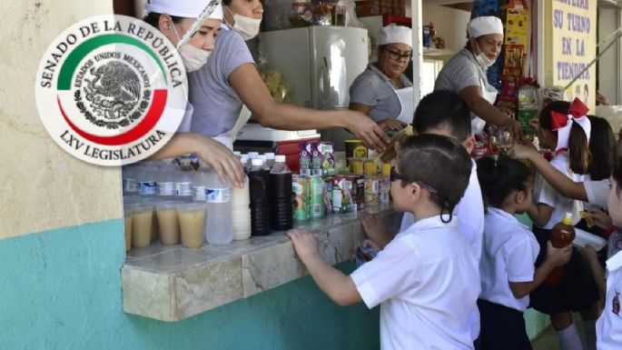 Senado de la Republica aprueba reforma de alimentación escolar, van vs la comida chatarra