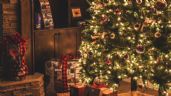 ¿Dónde poner el árbol de Navidad para atraer dinero antes de Navidad?