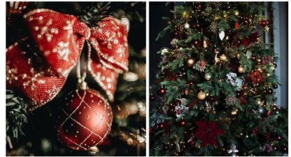 ¿Qué adornos ponerle a tu árbol de Navidad para tener dinero y salud?
