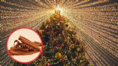 ¿Cuándo y dónde poner canela al árbol de Navidad para tener mucho dinero?