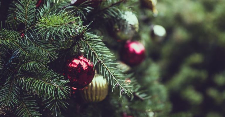 cómo obtener dinero en diciembre con el árbol de navidad
