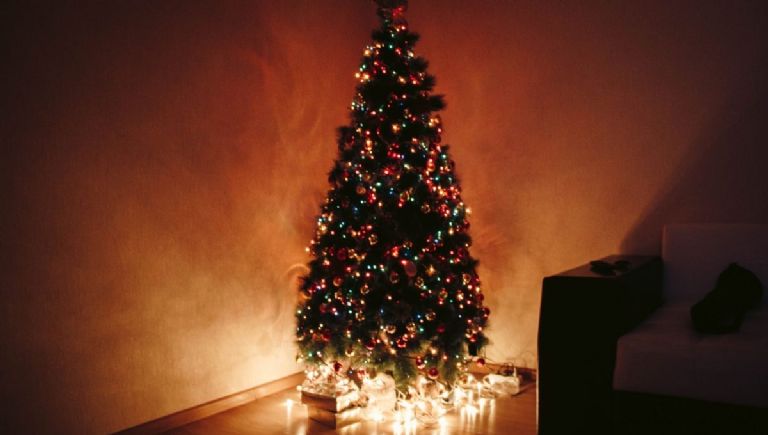qué luces navideñas poner en el árbol de navidad