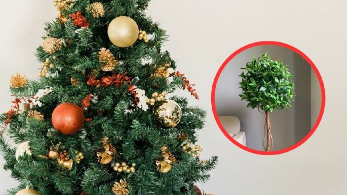¿Que se puede poner en lugar de árbol de Navidad? 3 alternativas bonitas y baratas