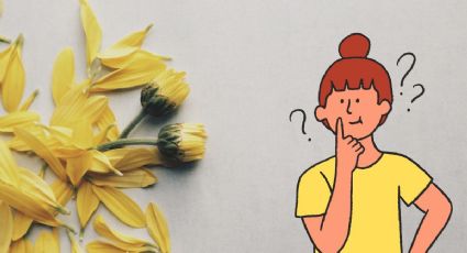 ¿Qué significa que te regalen flores amarillas este 21 de marzo?