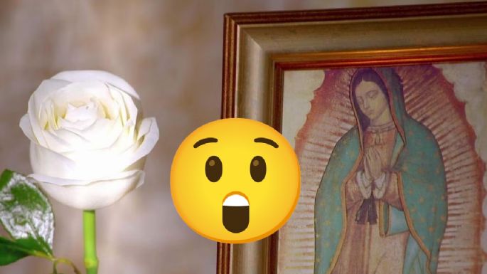 Filtran la JUGOSA cantidad que ganan los actores de La Rosa de Guadalupe