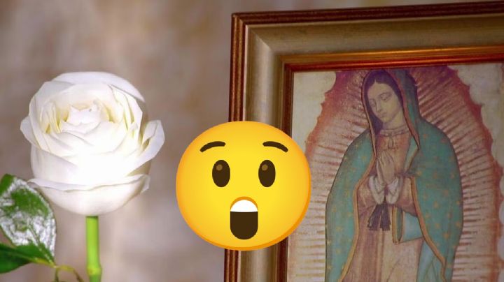 Filtran la JUGOSA cantidad que ganan los actores de La Rosa de Guadalupe