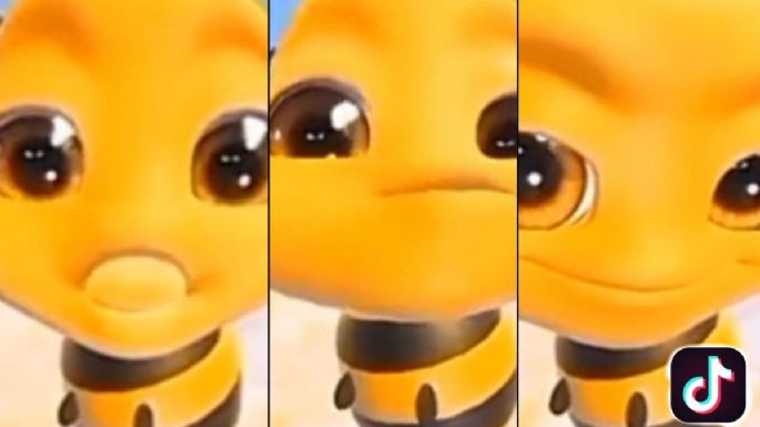 ¿Cuál es el origen del video de la abeja en TikTok?