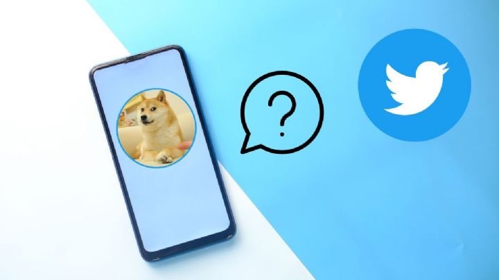 ¿Quién es 'Doge' el perro que apareció en el logo de Twitter?