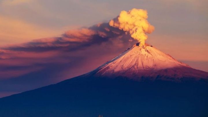Volcán Popocatépetl HOY miércoles 24 de mayo EN VIVO: En qué fase está y qué pasa si hace erupción