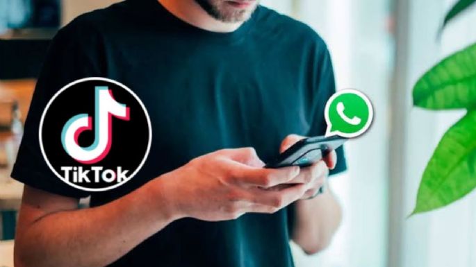¿Cómo poner un video de TikTok en el estado de WhatsApp