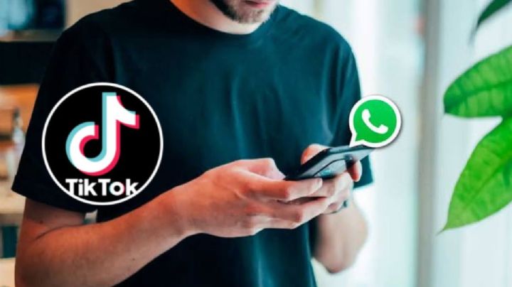 ¿Cómo poner un video de TikTok en el estado de WhatsApp