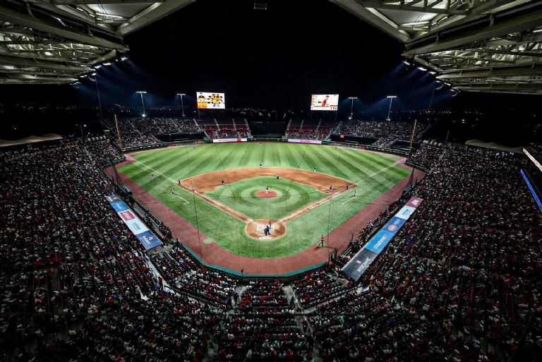 ¿Quieres asistir al gran estadio Alfredo Harp? Te decimos los precios de comida y boletos para el béisbol mexicano.