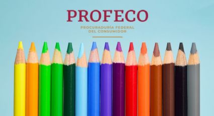 Son baratos, resistentes y los MEJORES lápices de colores para el regreso a clases, según Profeco