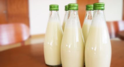 ¿Qué leche es buena y económica? Profeco te da la respuesta