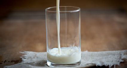 ¿Cuáles son las leches que NO se deben comprar según Profeco?