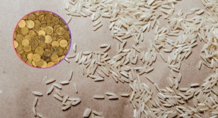 ¿Dónde poner el arroz para atraer el dinero en 5 días?