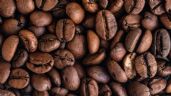 ¿Cuál es el mejor café soluble descafeinado? este es el favorito de Profeco y es mexicano
