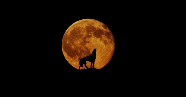 luna llena del lobo