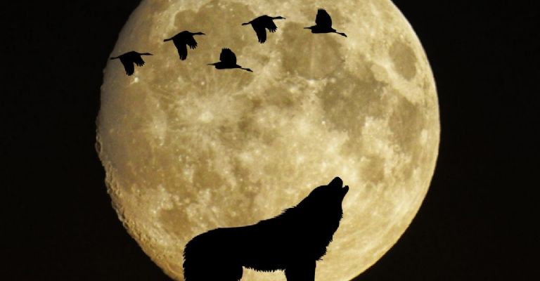 cáncer tendrá malas noticias durante la luna llena del lobo