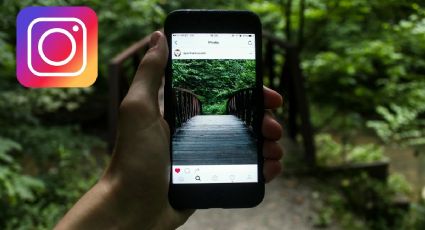 Instagram: ¿Por qué Meta está borrando fotos viejas?