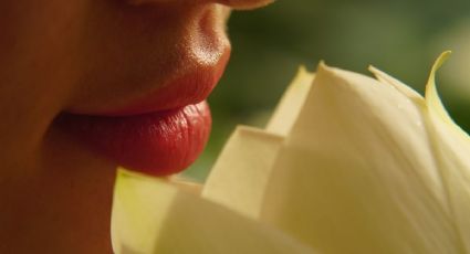 ¿Qué significa tener el arco de cupido en los labios?