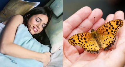 ¿Qué significa soñar con mariposas?