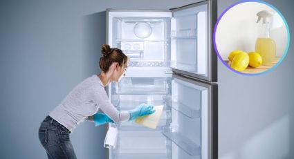 ¿Qué poner en el refrigerador para que huela bien? Trucos y consejos
