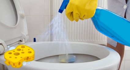 ¿Cómo quitar el sarro pegado de la taza del baño? 5 trucos que te salvarán la vida