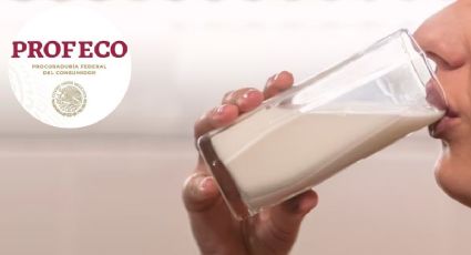 Esta es la cantidad de leche que debes consumir al día, según Profeco