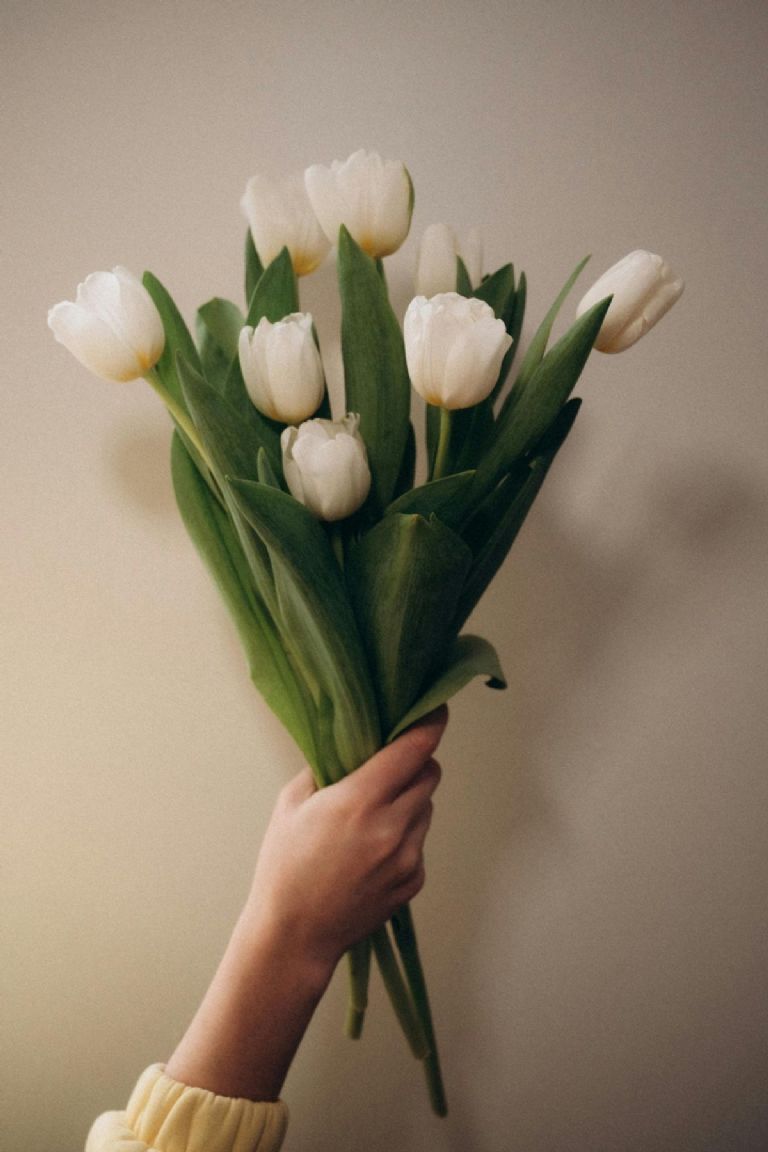Cuál es la razón por la que debes regalar flores el 29 de febrero