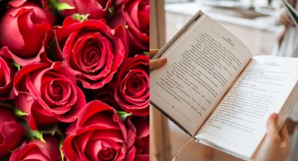 ¿Por qué se regala un libro y una rosa el 23 de abril?
