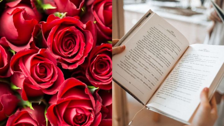 ¿Por qué se regala un libro y una rosa el 23 de abril?