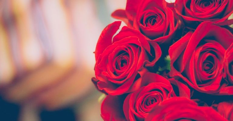por qué se regalan rosas el 23 de abril