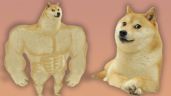 Foto ilustrativa de la nota titulada Murió Kabosu, la perrita de los memes Doge: ¿qué le pasó y cuántos años tenía?