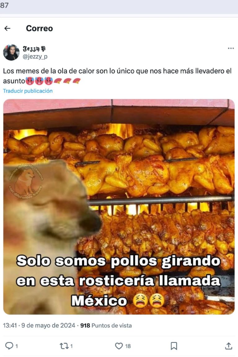 estos son los mejores memes por la ola de calor en la cdmx