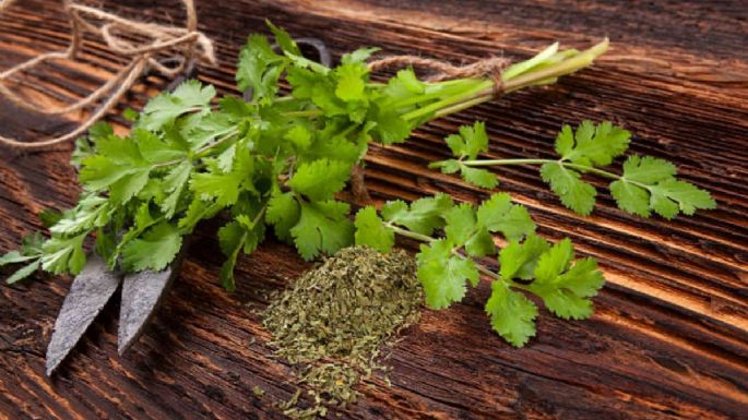 Precio del cilantro HOY 19 de junio en Walmart y la Central de Abastos | Por manojo y por kilo