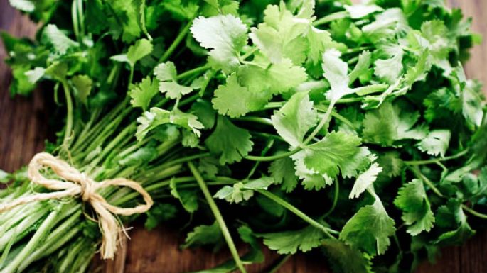 Precio del cilantro en México hoy 25 de junio | Por manojo y por kilo