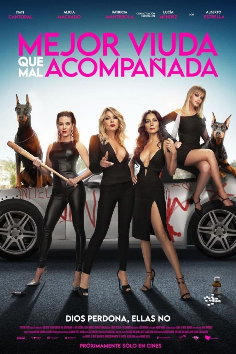 sinopsis de la pelicula mexicana mejor viuda que mal acompañada