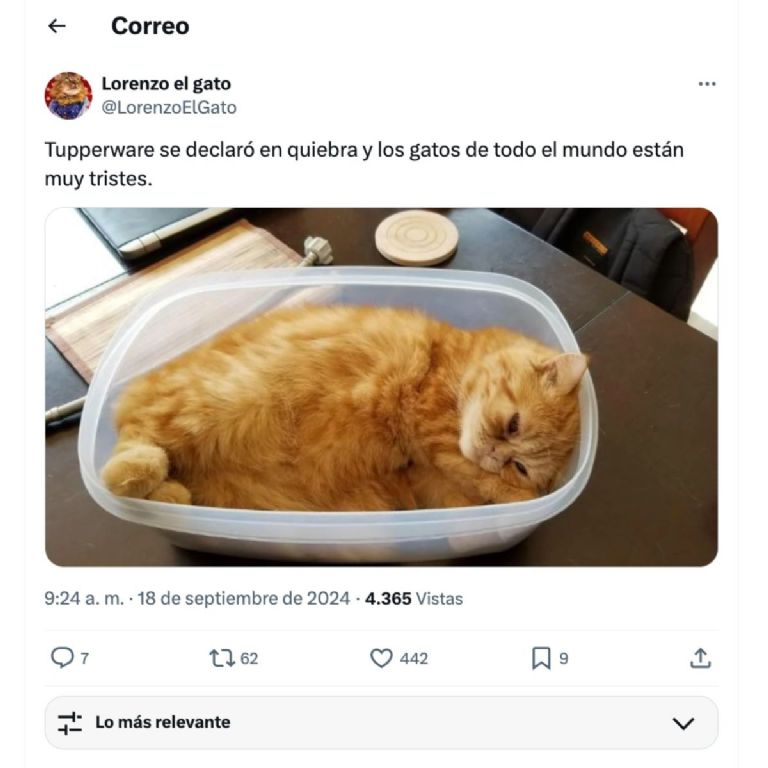 memes reaccionaron a la quiebra de tupperware