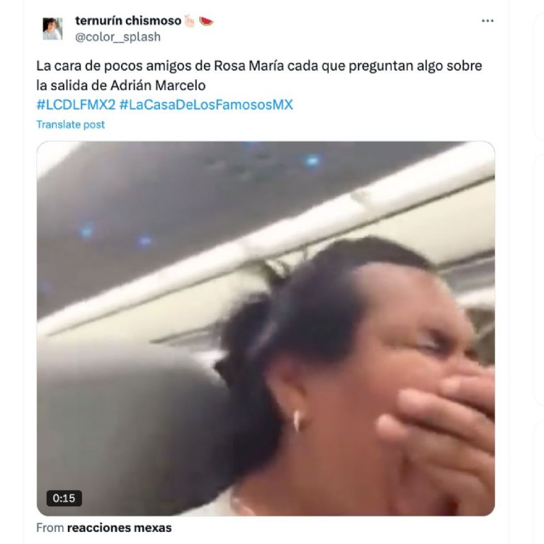 rosa maria nogueron memes por su defensa a adrian marcelo